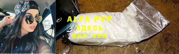 ПСИЛОЦИБИНОВЫЕ ГРИБЫ Белоозёрский