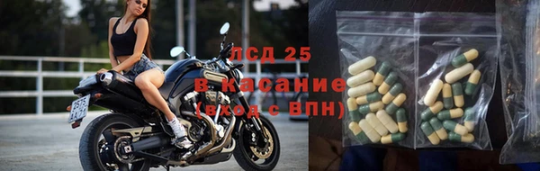 ПСИЛОЦИБИНОВЫЕ ГРИБЫ Белоозёрский