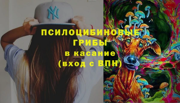 амфетамин Белокуриха