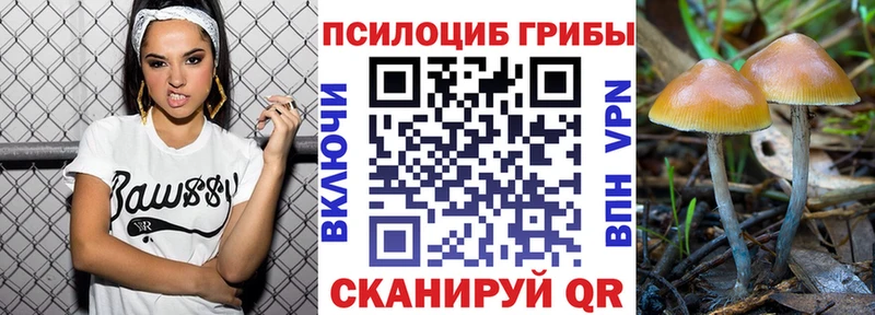 Галлюциногенные грибы Psilocybine cubensis  ОМГ ОМГ как зайти  Шлиссельбург 